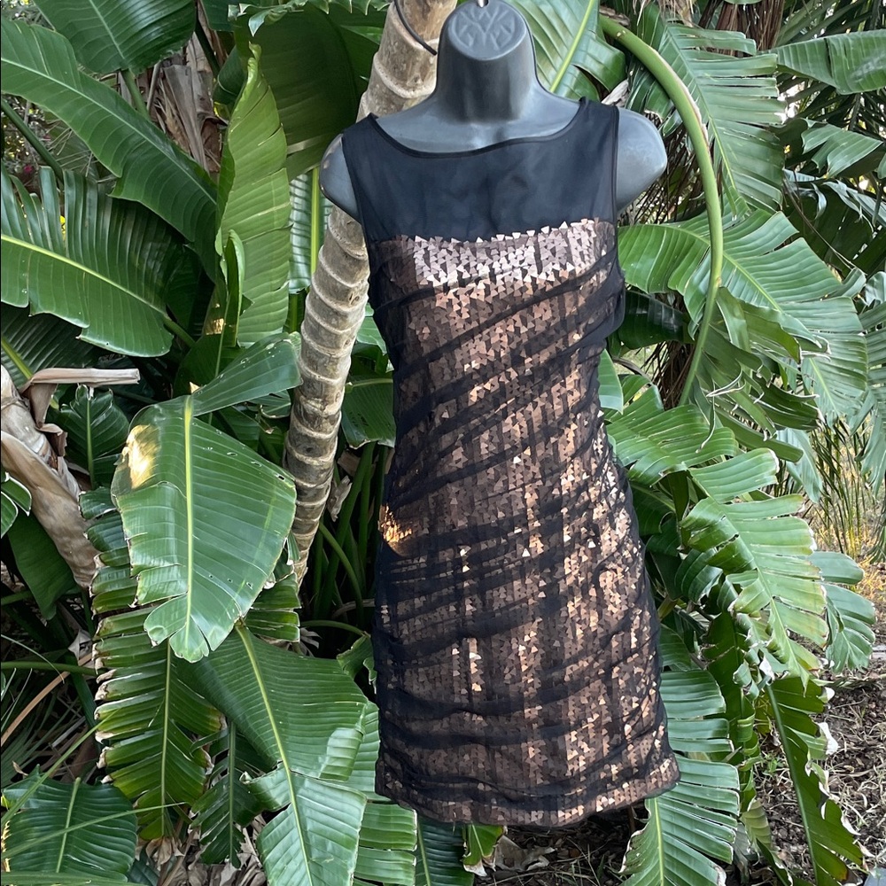 Cynthia Steffe , Rose gold, metallic and sheer  assymetric ruched dress